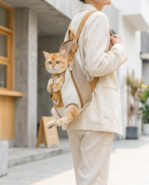 Person wearing the Pet Needs carrier backpack outdoors with cat peeking out